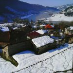 Gelenöz