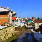 Naşlar