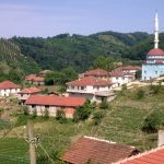 Yılgın